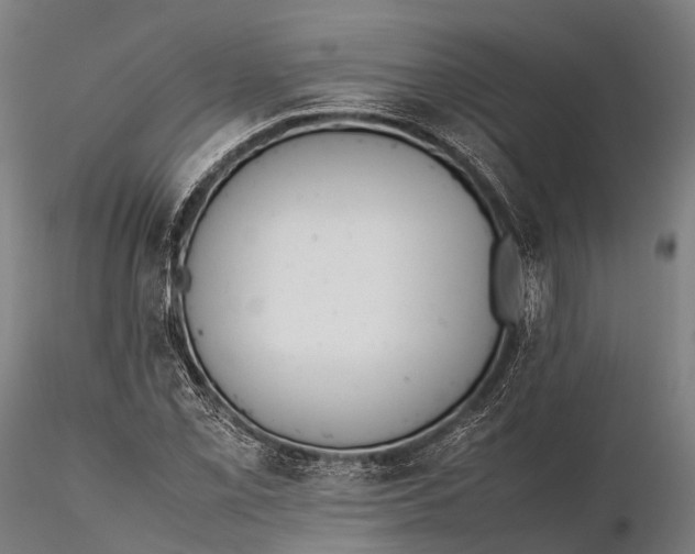 X0000115601069200912011521