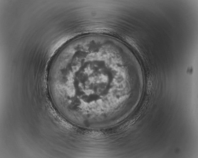 X0000115601071200912011521