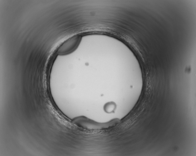 X0000115601072200912011521