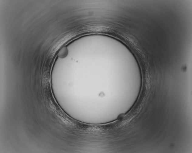 X0000115601073200912011521