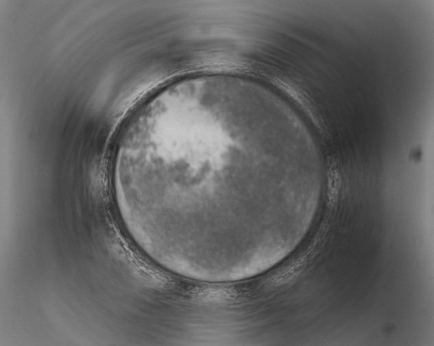 X0000115601074200912011521