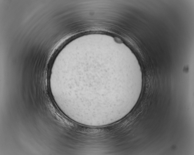 X0000115601076200912011521