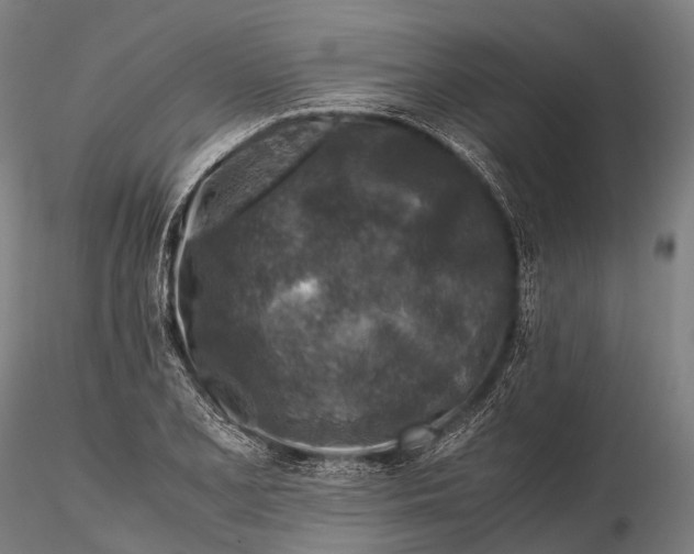 X0000115601077200912011521