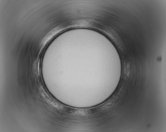 X0000115601078200912011521