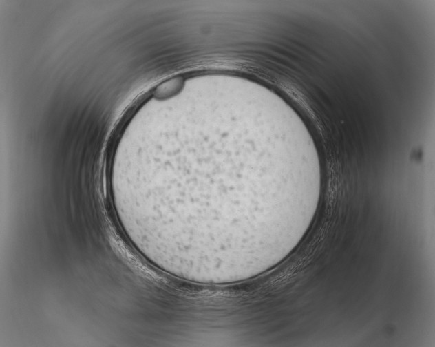 X0000115601080200912011521