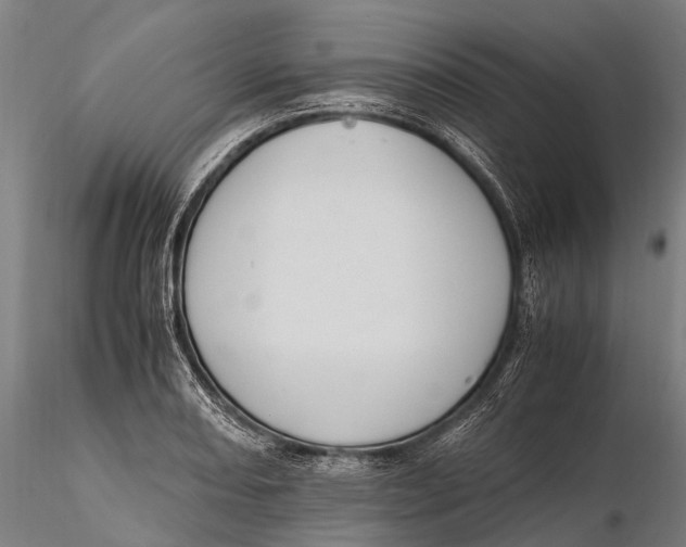 X0000115601082200912011521