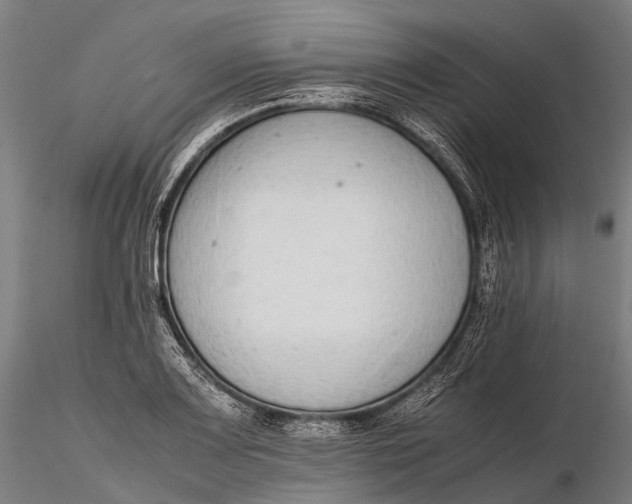 X0000115601083200912011521