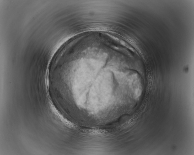 X0000115601084200912011521