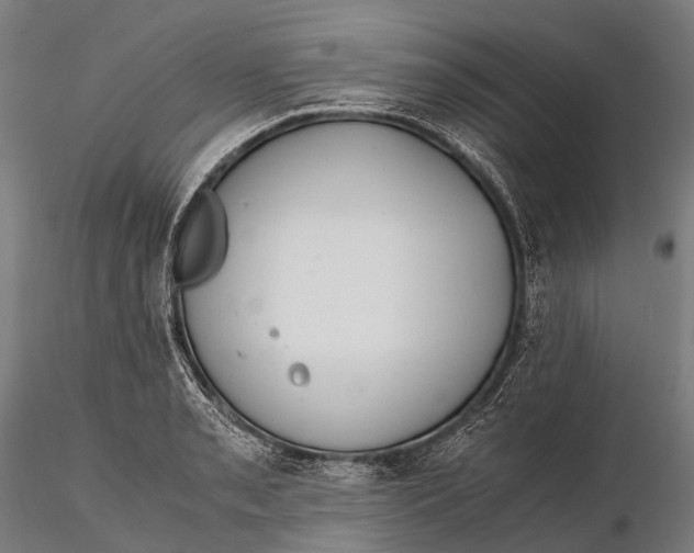 X0000115601085200912011521