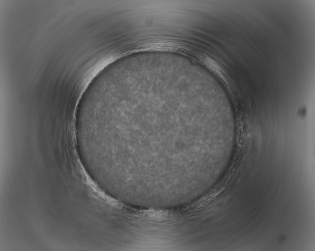 X0000115601087200912011521