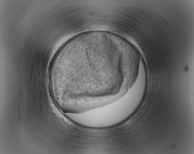 X0000115601088200912011521