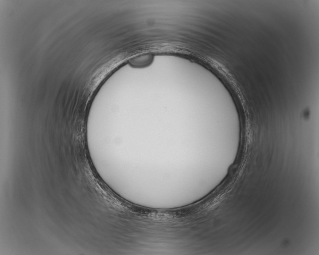 X0000115601089200912011521