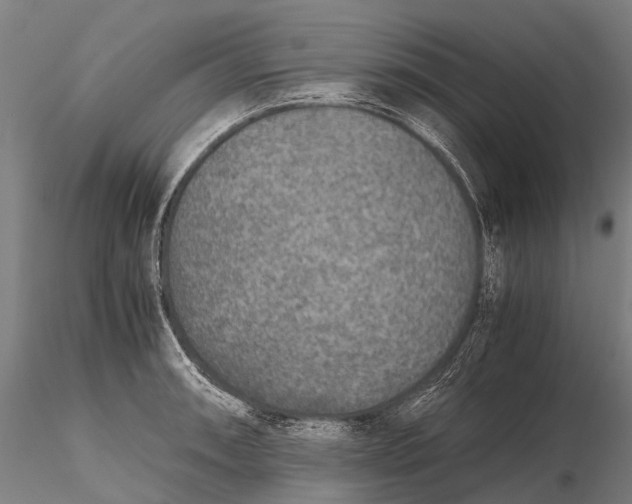 X0000115601090200912011521