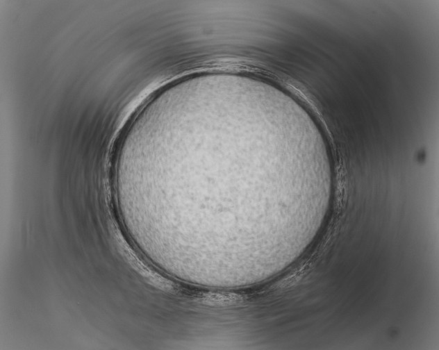 X0000115601091200912011521