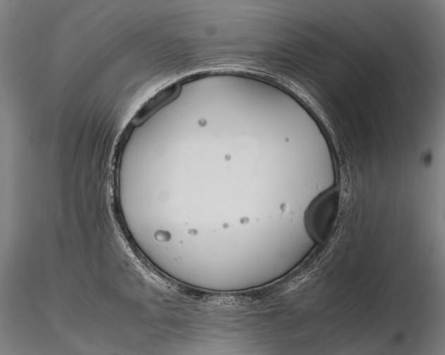 X0000115601093200912011521