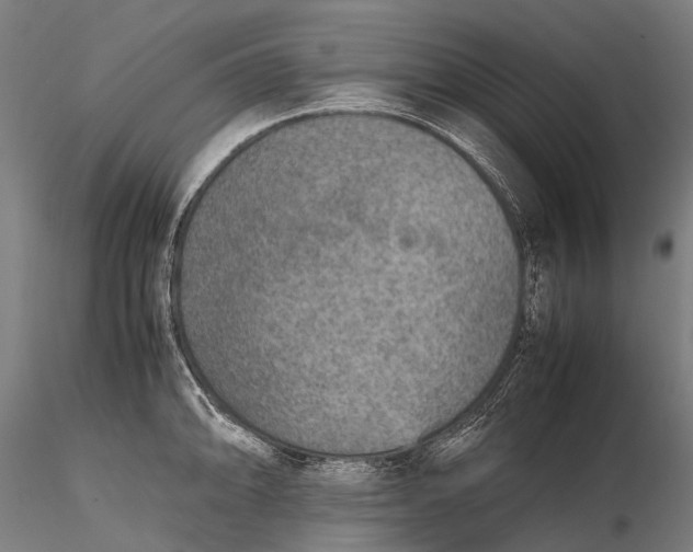 X0000115601094200912011521