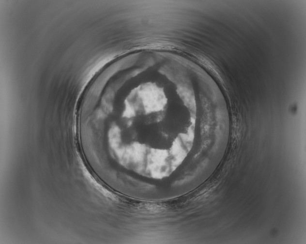 X0000115601095200912011521