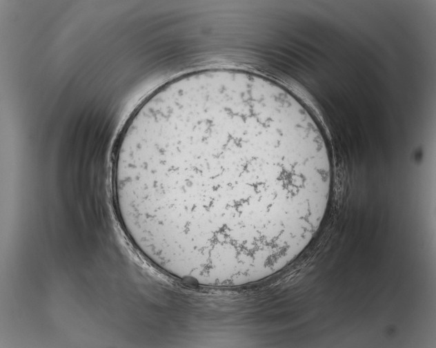 X0000115601096200912011521