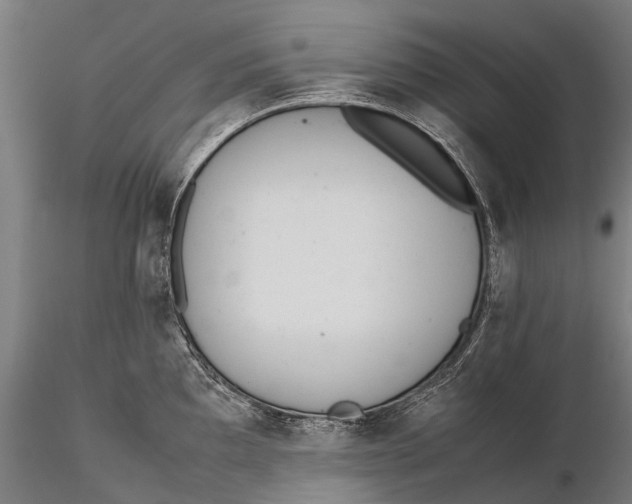 X0000115601097200912011521