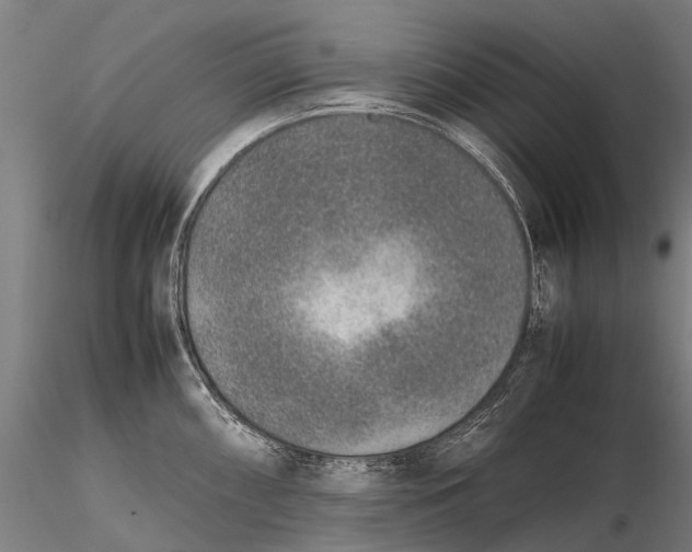 X0000115601098200912011521