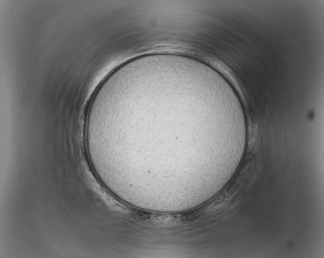 X0000115601099200912011521