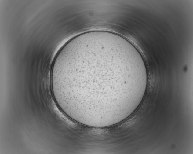 X0000115601100200912011521