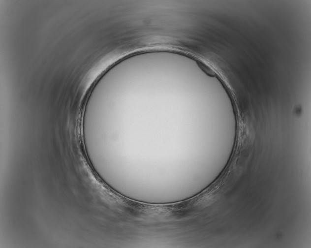 X0000115601101200912011521