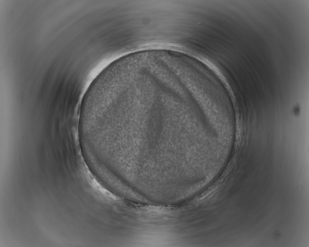 X0000115601102200912011521