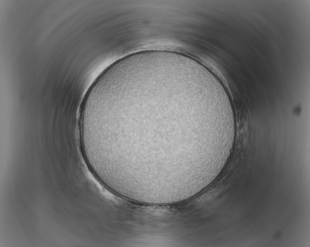 X0000115601103200912011521