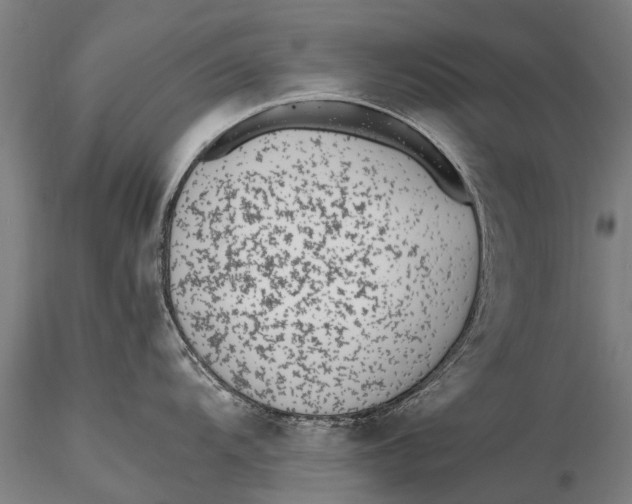 X0000115601104200912011521