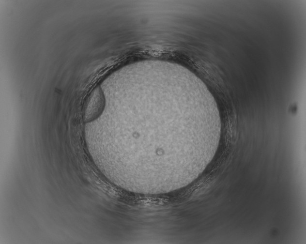 X0000115601105200912011520