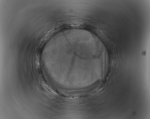 X0000115601106200912011520