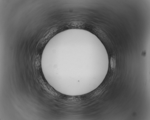 X0000115601107200912011520