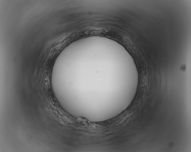 X0000115601109200912011520