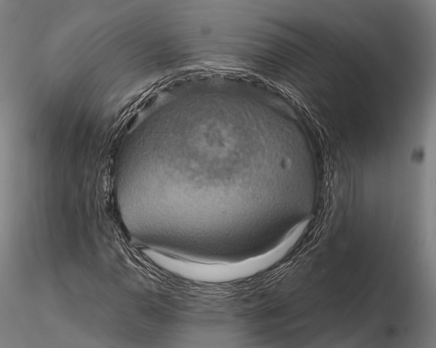 X0000115601110200912011520