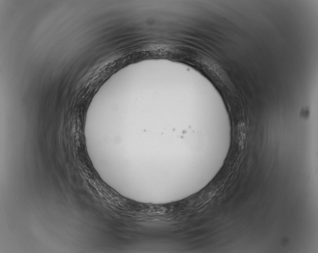 X0000115601111200912011520