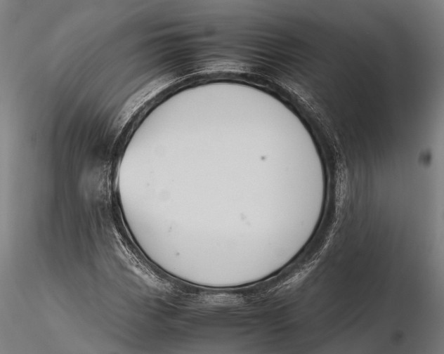 X0000115601113200912011520