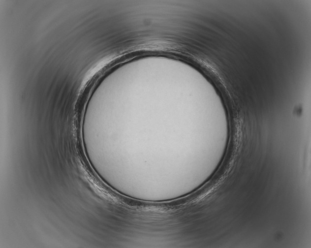 X0000115601114200912011520