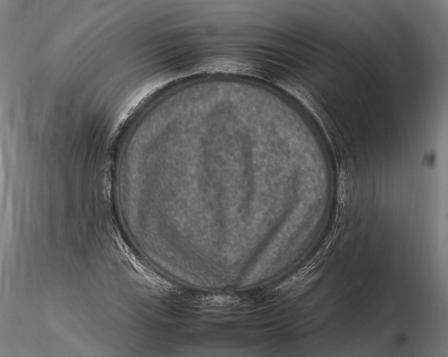 X0000115601115200912011520