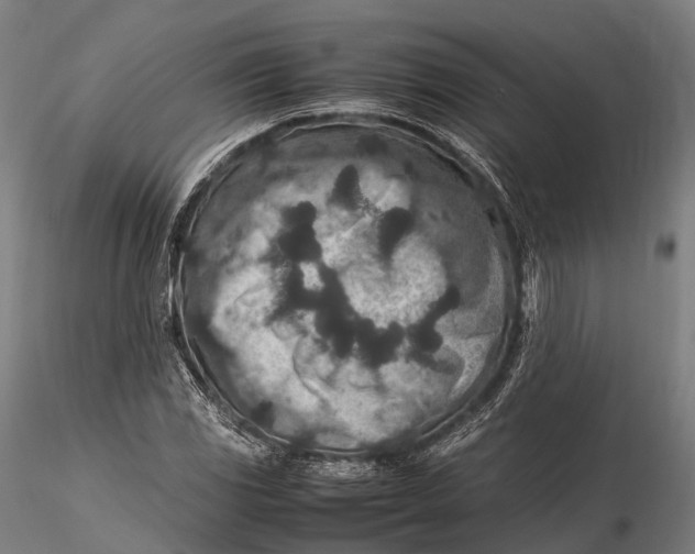 X0000115601117200912011520