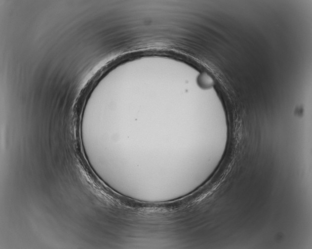 X0000115601118200912011520