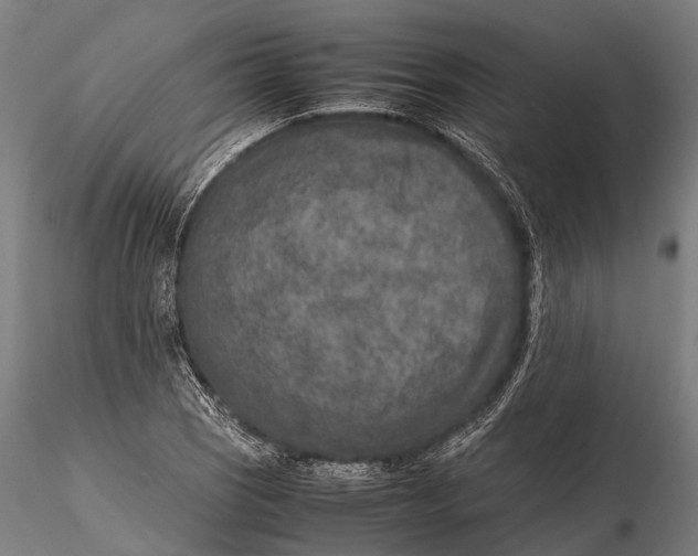 X0000115601121200912011520