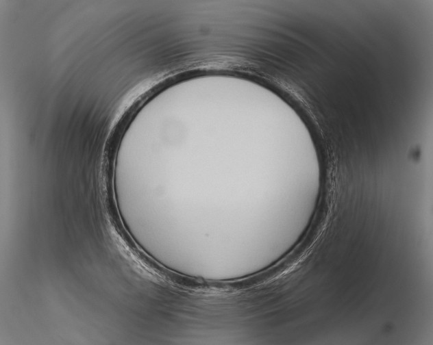 X0000115601122200912011520