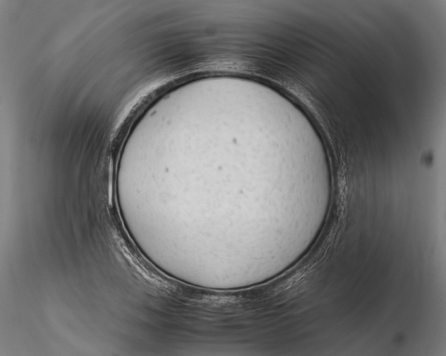 X0000115601123200912011520