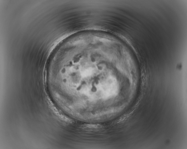 X0000115601125200912011520