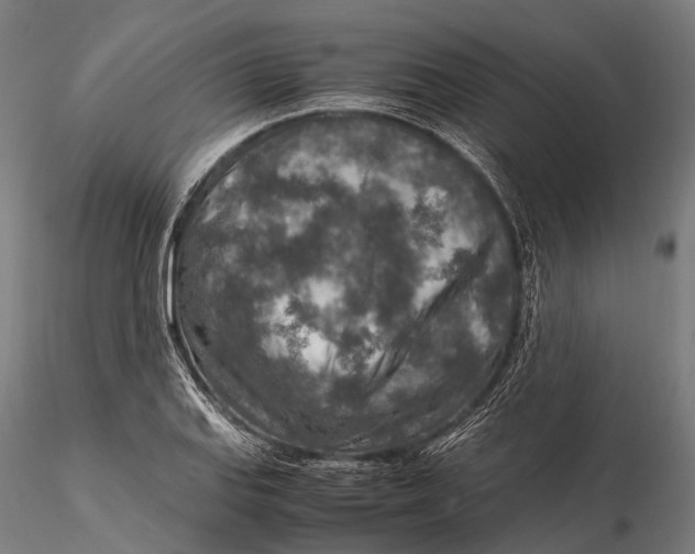 X0000115601127200912011520