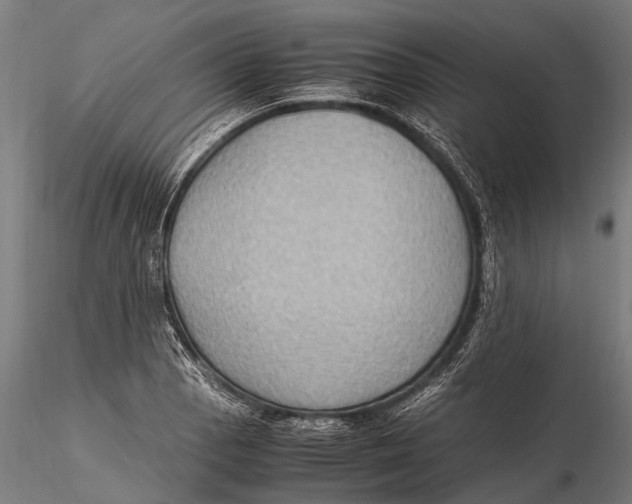 X0000115601129200912011520