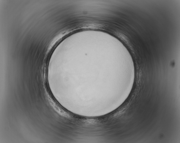 X0000115601130200912011520