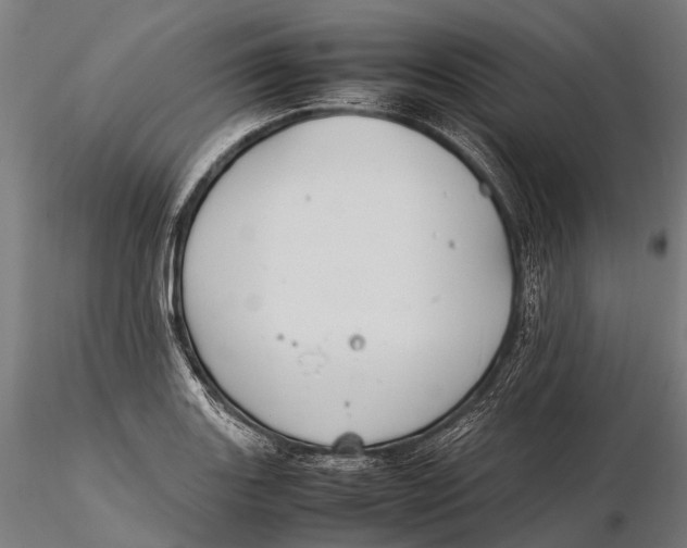 X0000115601131200912011520