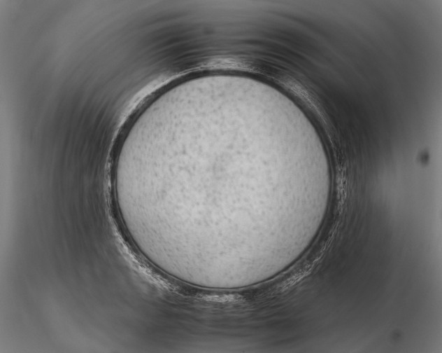 X0000115601133200912011520